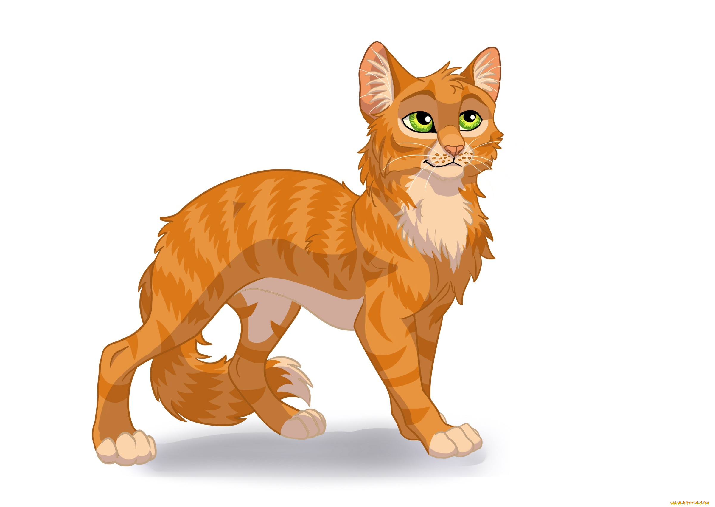 Кошка рисунок без фона